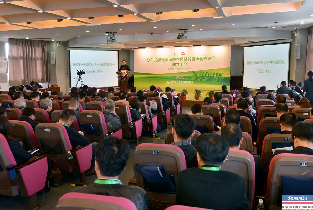 大平台汇聚多力量 散布式能源资源合作网成立
